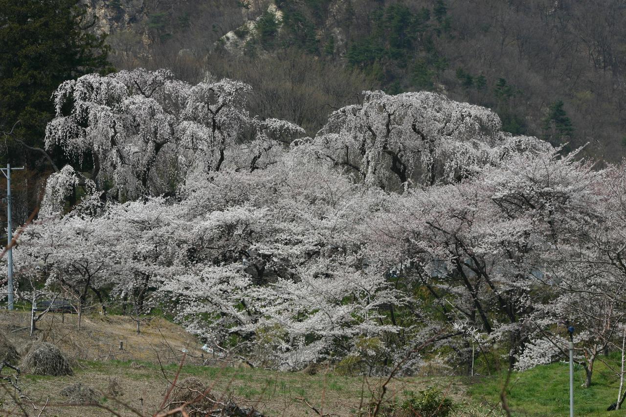 Shosenkaku Hotell Nagano Exteriör bild